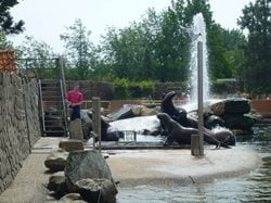 Dolfinarium Harderwijk